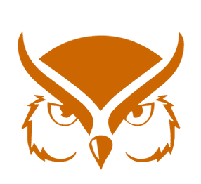 Night Owl owl logo